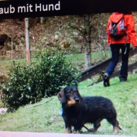 Ferienwohnung Jana *